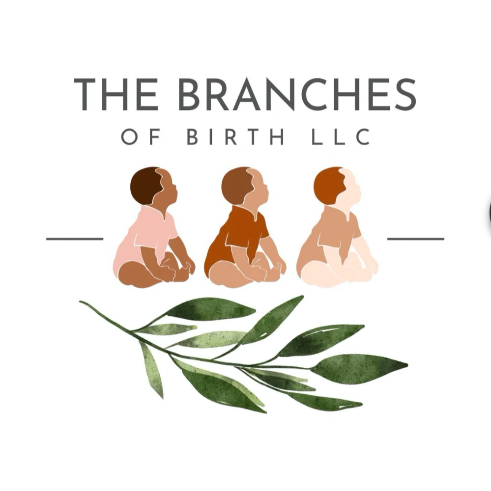The Branches Of Birth, LLC logo